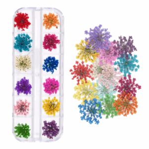 12-delige set gedroogde bloementjes