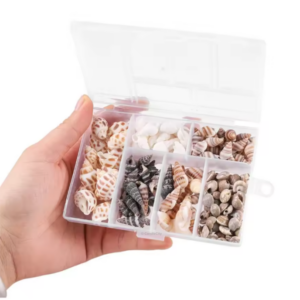 Set schelpjes (6-delig)