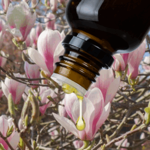 Geurolie Japanse Magnolia