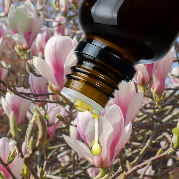 Geurolie Japanse Magnolia