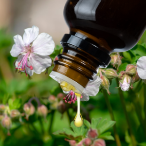 Geurolie Kamperfoelie