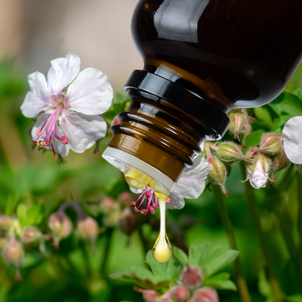 Geurolie Kamperfoelie