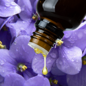 Geurolie Parma Violet